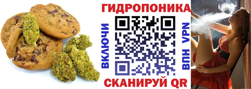 OMG   продажа наркотиков  Ливны  Печенье с ТГК конопля 