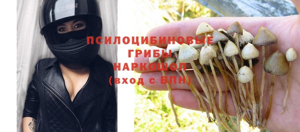 крисы Пересвет