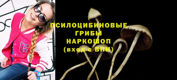 метамфетамин Осташков
