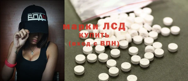 индика Пестово