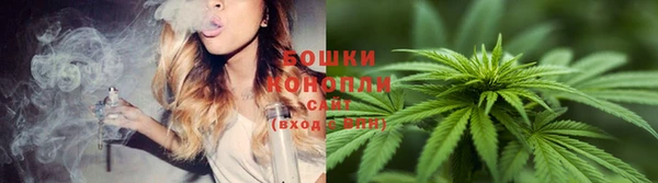 индика Пестово