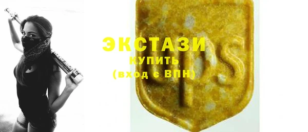 индика Пестово