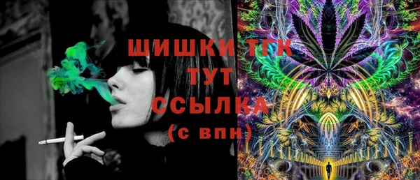индика Пестово