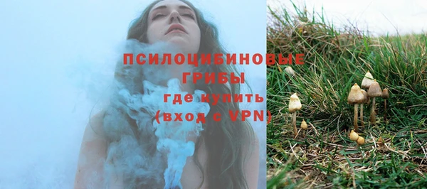 индика Пестово