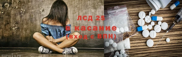индика Пестово