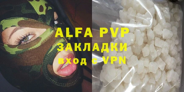 индика Пестово