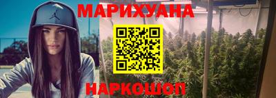 шишки Гатчина