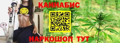 шишки Гатчина