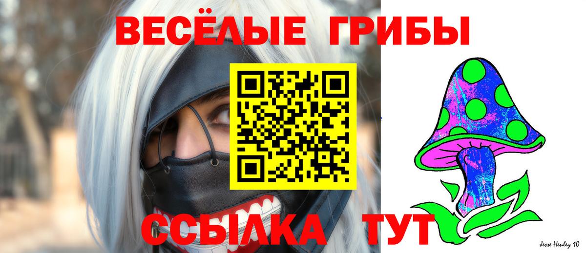 хочу наркоту  Ливны  Галлюциногенные грибы Magic Shrooms 