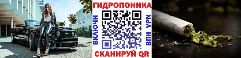 купить  цена  Ливны  площадка официальный сайт  Марихуана VHQ 